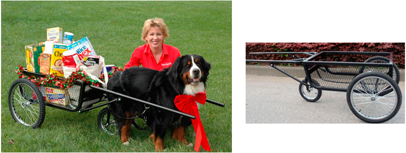 Wilczek Woodworks - custom crafted dog carts, dog wagons & dog carting  equipment