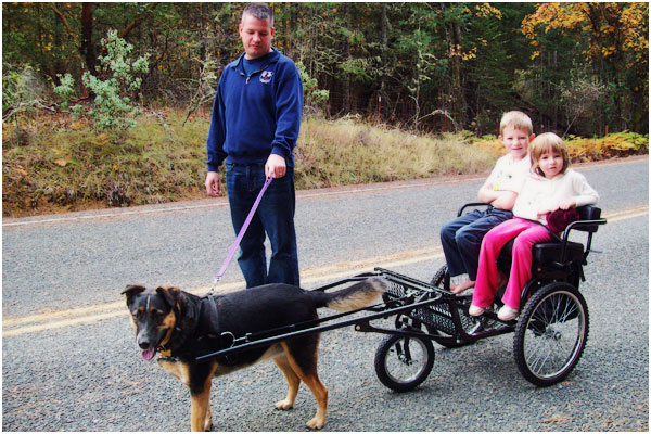 Dog takes owner for ride in dog cart 